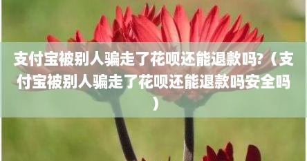 支付宝被别人骗走了花呗还能退款吗?（支付宝被别人骗走了花呗还能退款吗安全吗）