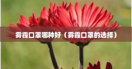 雾霾口罩哪种好（雾霾口罩的选择）