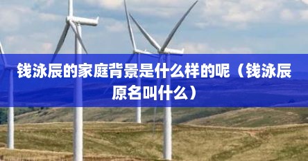 钱泳辰的家庭背景是什么样的呢（钱泳辰原名叫什么）