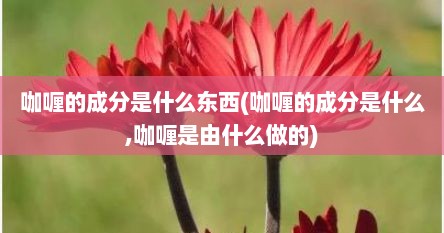 咖喱的成分是什么东西(咖喱的成分是什么,咖喱是由什么做的)