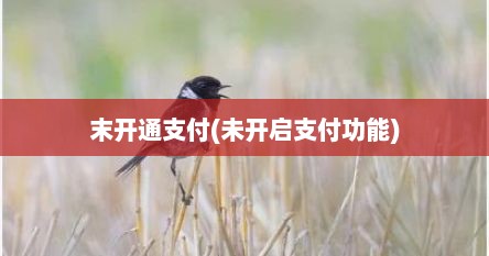 末开通支付(未开启支付功能)
