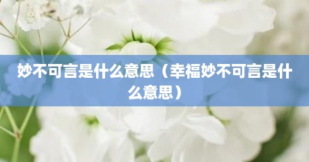 妙不可言是什么意思（幸福妙不可言是什么意思）