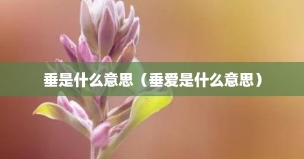 垂是什么意思（垂爱是什么意思）