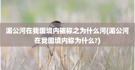 湄公河在我国境内被称之为什么河(湄公河在我国境内称为什么?)