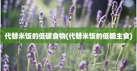 代替米饭的低碳食物(代替米饭的低糖主食)
