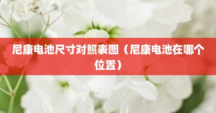 尼康电池尺寸对照表图（尼康电池在哪个位置）