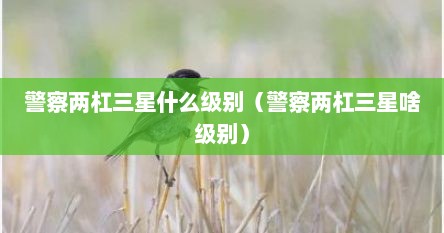 警察两杠三星什么级别（警察两杠三星啥级别）