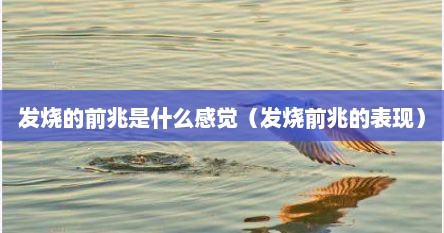 发烧的前兆是什么感觉（发烧前兆的表现）