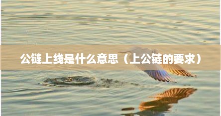 公链主网上线指的是什么（公链是什么意思）