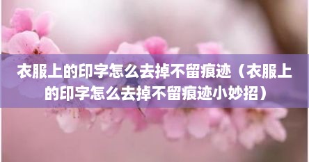 衣服上的印字怎么去掉不留痕迹（衣服上的印字怎么去掉不留痕迹小妙招）