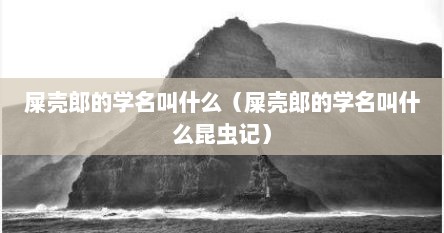 屎壳郎的学名叫什么（屎壳郎的学名叫什么昆虫记）