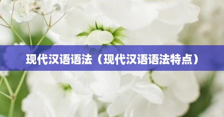 现代汉语语法有什么特点（现代汉语语法和语法体系）