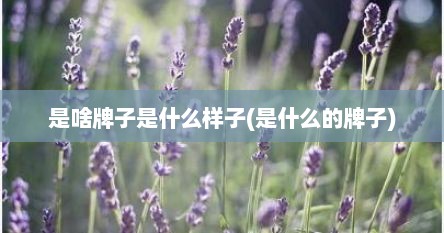 是啥牌子是什么样子(是什么的牌子)