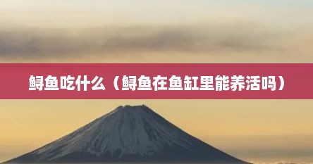 鲟鱼吃什么（鲟鱼在鱼缸里能养活吗）