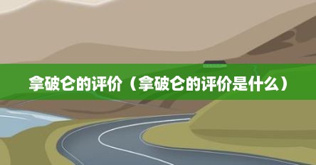 拿破仑的评价（拿破仑的评价是什么）