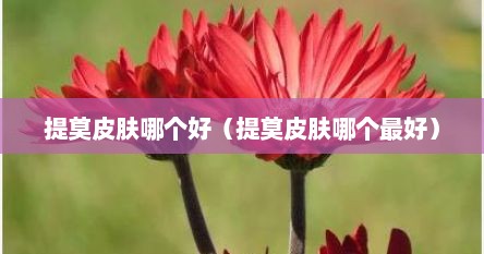 提莫皮肤哪个好（提莫皮肤哪个最好）