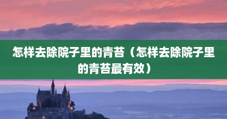 院子里的青苔怎么去除（院子里青苔用什么方法可以清除掉）