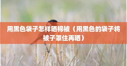 用黑色袋子怎样晒棉被（用黑色的袋子将被子罩住再晒）