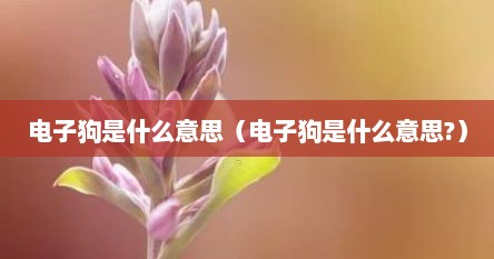 电子狗是什么意思（电子狗是什么意思?）