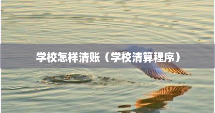 学校怎样清账（学校清算程序）