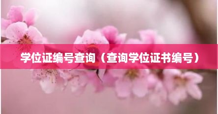 学位证编号查询（查询学位证书编号）