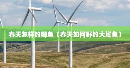春天怎样钓鲫鱼（春天如何野钓大鲫鱼）