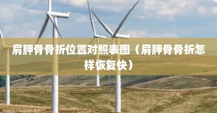 肩胛骨骨折位置对照表图（肩胛骨骨折怎样恢复快）