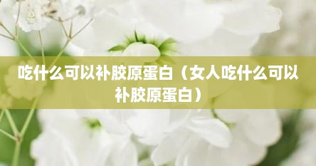 吃什么可以补胶原蛋白（女人吃什么可以补胶原蛋白）