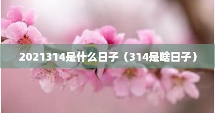 2021314是什么日子（314是啥日子）