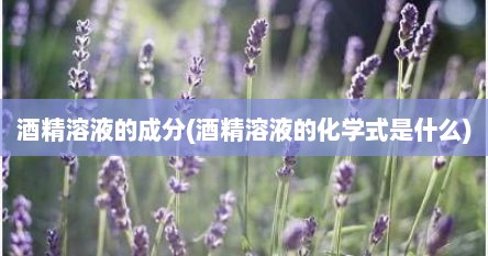 酒精溶液的成分(酒精溶液的化学式是什么)