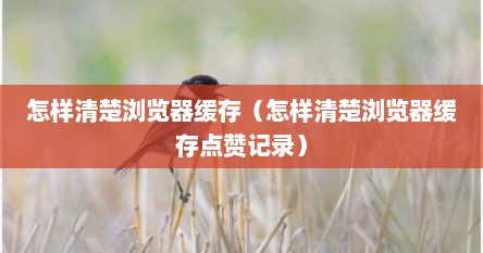 怎样清楚浏览器缓存（怎样清楚浏览器缓存点赞记录）