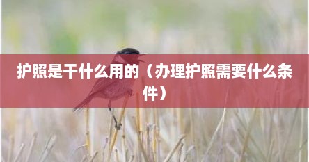 护照是干什么用的（办理护照需要什么条件）