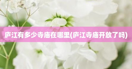 庐江有多少寺庙在哪里(庐江寺庙开放了吗)