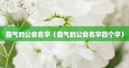 霸气的公会名字（霸气的公会名字四个字）