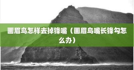 画眉鸟怎样去掉锋嘴（画眉鸟嘴长锋勾怎么办）