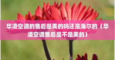 华凌空调的售后是美的吗还是海尔的（华凌空调售后是不是美的）