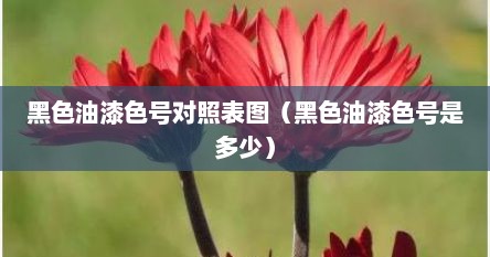 黑色油漆色号对照表图（黑色油漆色号是多少）