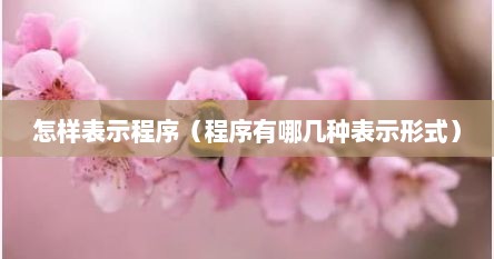 怎样表示程序（程序有哪几种表示形式）