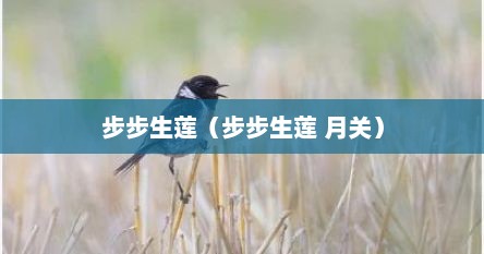 步步生莲（步步生莲 月关）