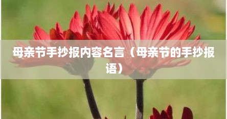 母亲节手抄报内容名言（母亲节的手抄报语）