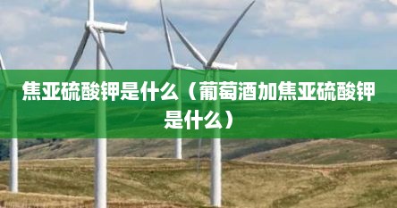 焦亚硫酸钾是什么（葡萄酒加焦亚硫酸钾是什么）