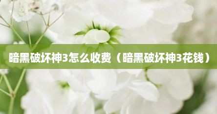 暗黑破坏神3怎么收费（暗黑破坏神3花钱）