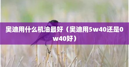 奥迪用什么机油最好（奥迪用5w40还是0w40好）