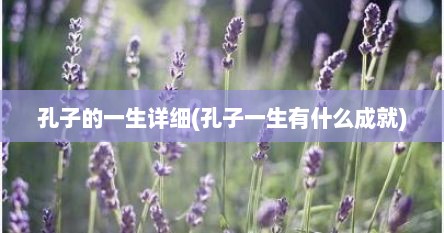 孔子的一生详细(孔子一生有什么成就)