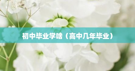 初中毕业学啥（高中几年毕业）