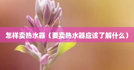 怎样卖热水器（要卖热水器应该了解什么）