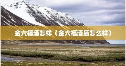 金六福酒怎样（金六福酒质怎么样）