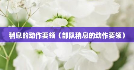 稍息的动作要领（部队稍息的动作要领）