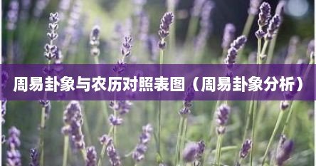 周易卦象与农历对照表图（周易卦象分析）