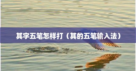 其字五笔怎样打（其的五笔输入法）